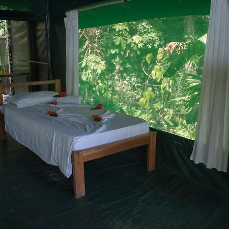 La Leona Eco Lodge Carate Exterior foto