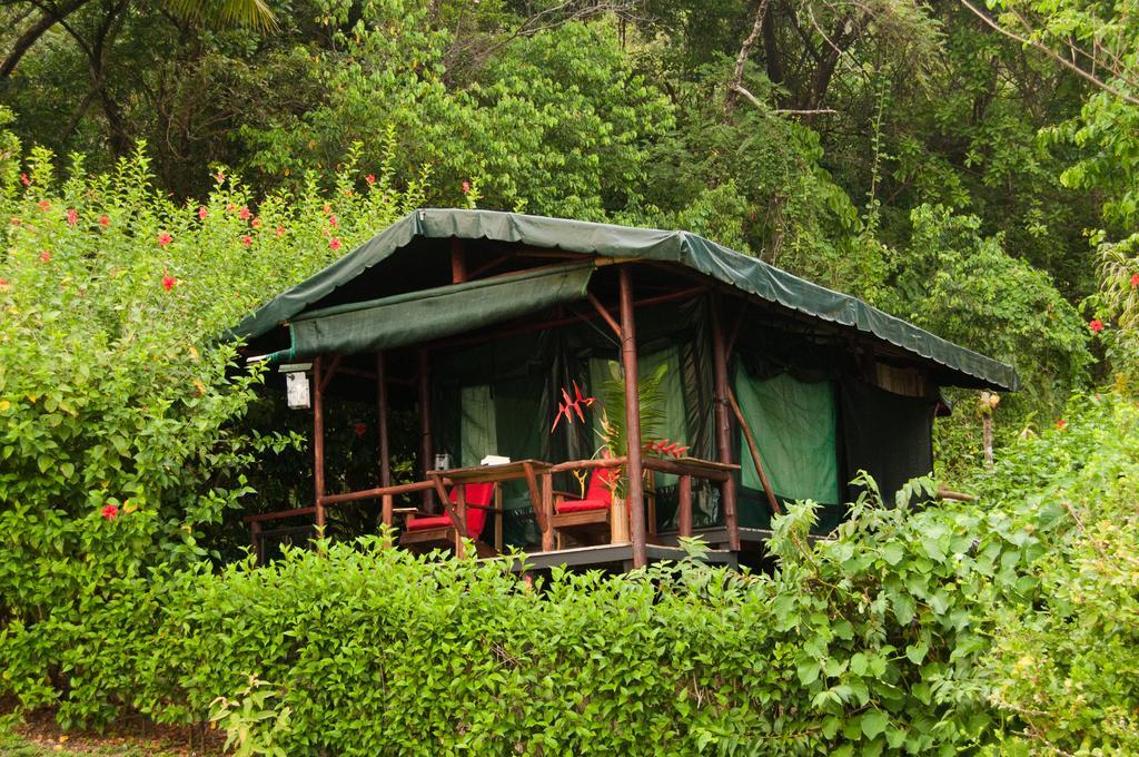 La Leona Eco Lodge Carate Exterior foto