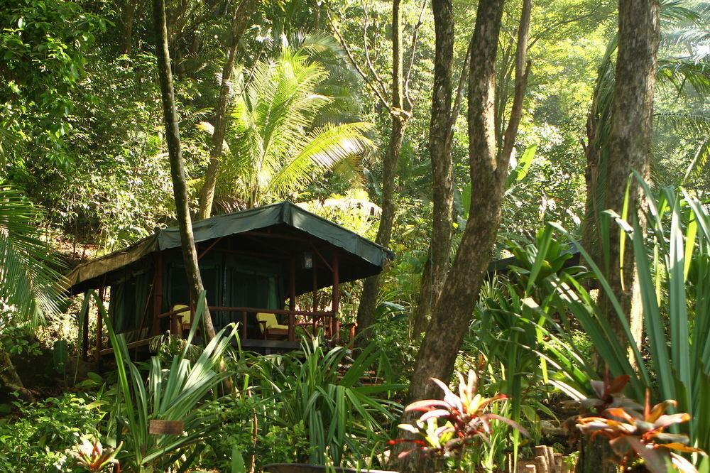 La Leona Eco Lodge Carate Exterior foto