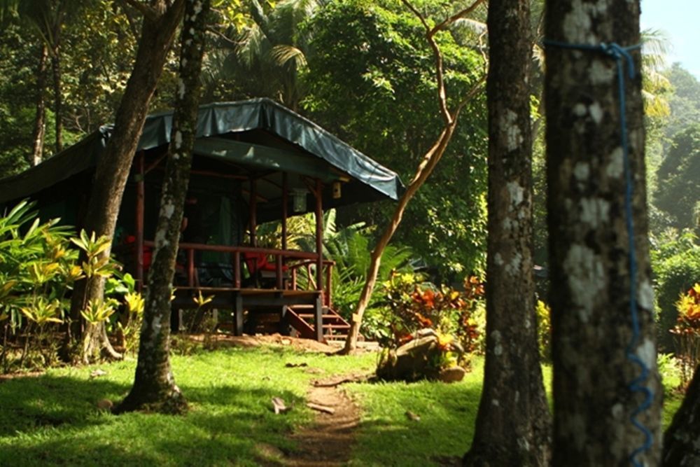 La Leona Eco Lodge Carate Exterior foto